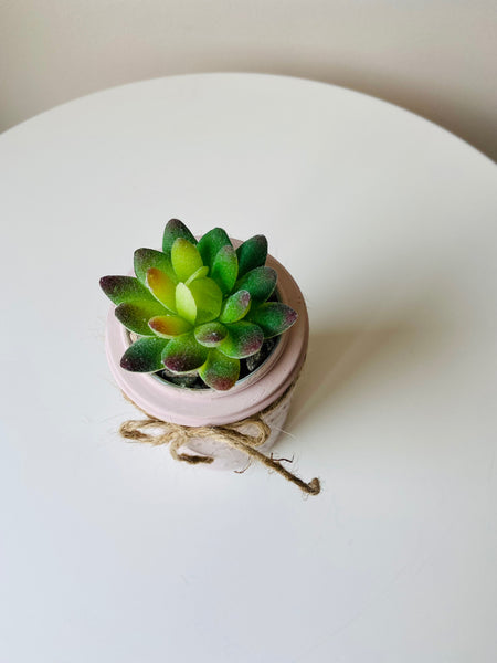 Blush Pink Single Succulent Crown Mason Jar No. 2
