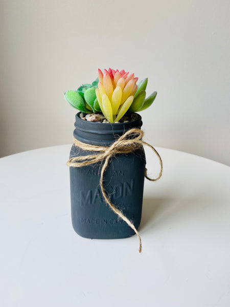 Charcoal Mason Jar with 3 Succulents