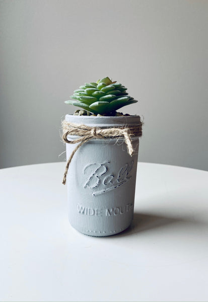 Aged Grey Jar Single Succulent