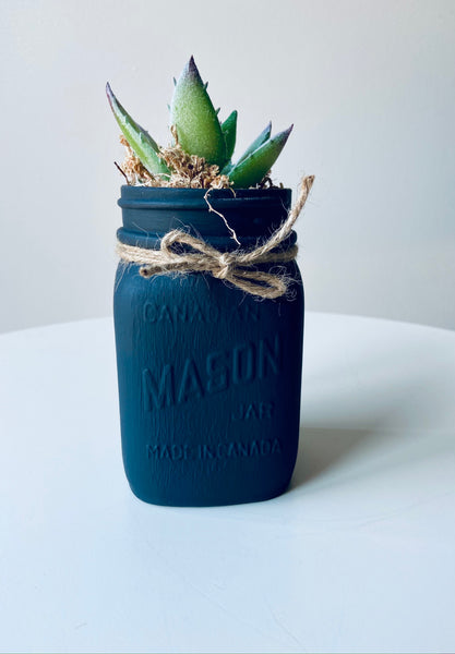 Charcoal Mason Jar with Single Succulent