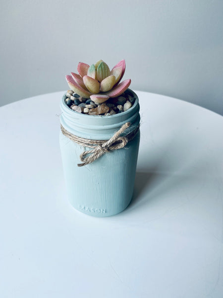 Sensible Sage Mason Jar with Single Succulent