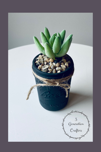 Charcoal Ball Jar Single Succulent