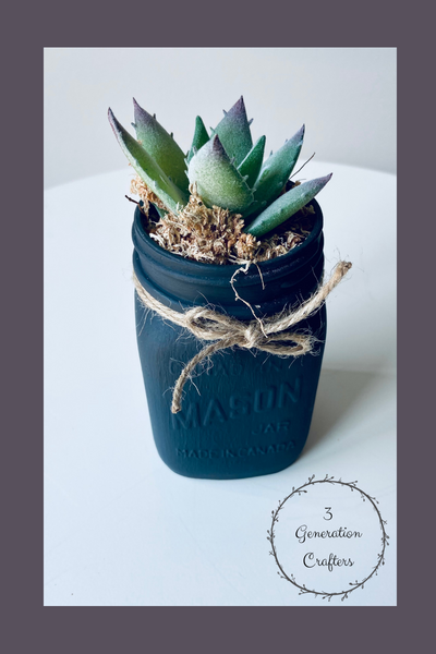 Charcoal Mason Jar with Single Succulent