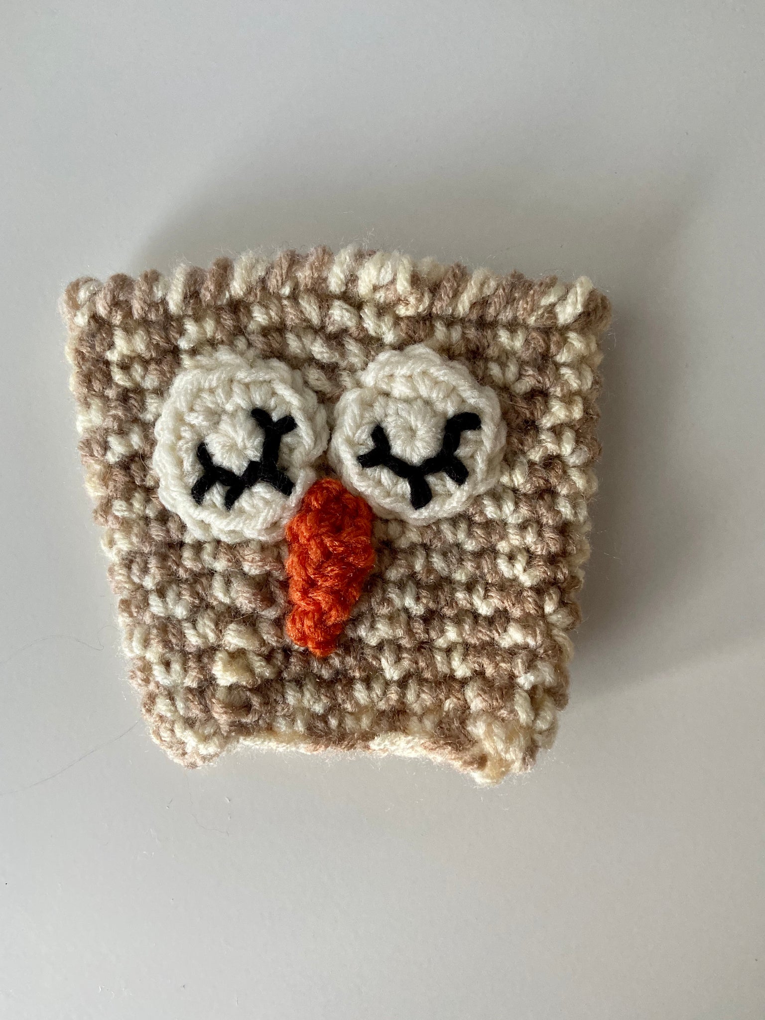 Owl Cup Cozy