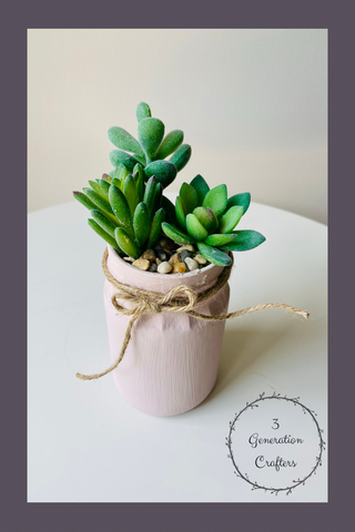 Blush Pink Jar with 3 Succulents